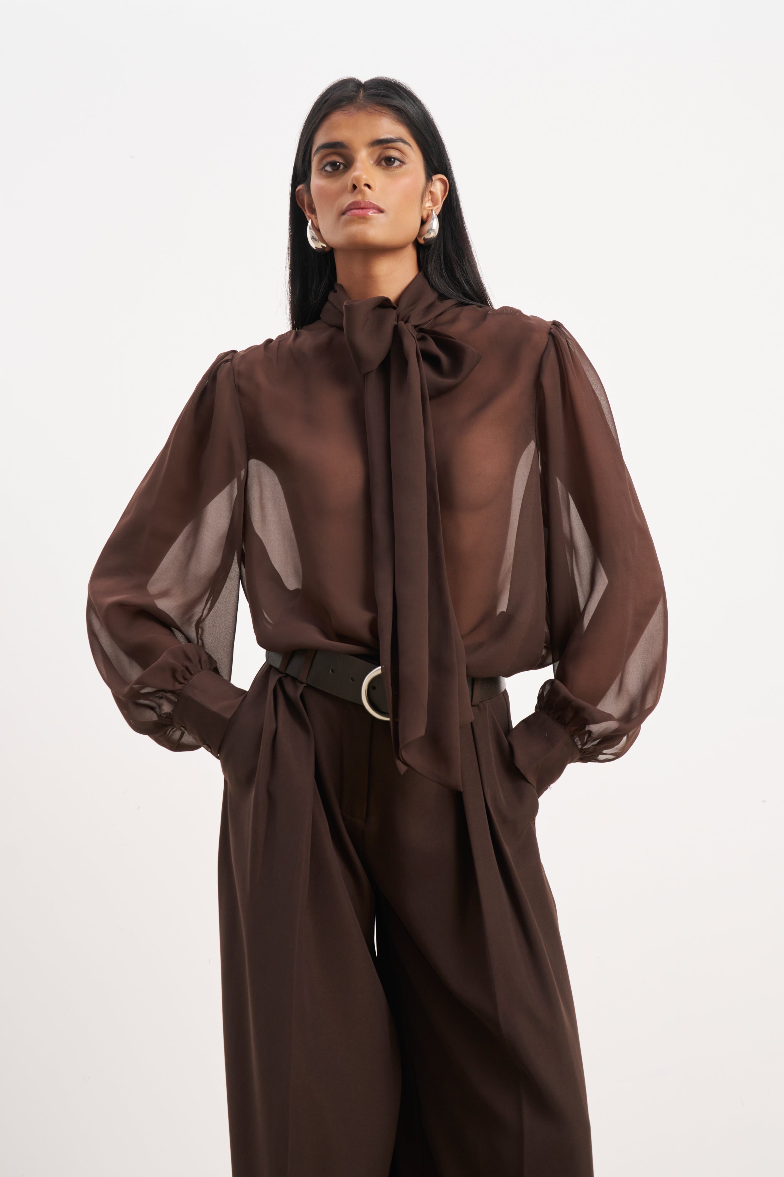 Sheer Chiffon Tie Neck Blouse - Carob