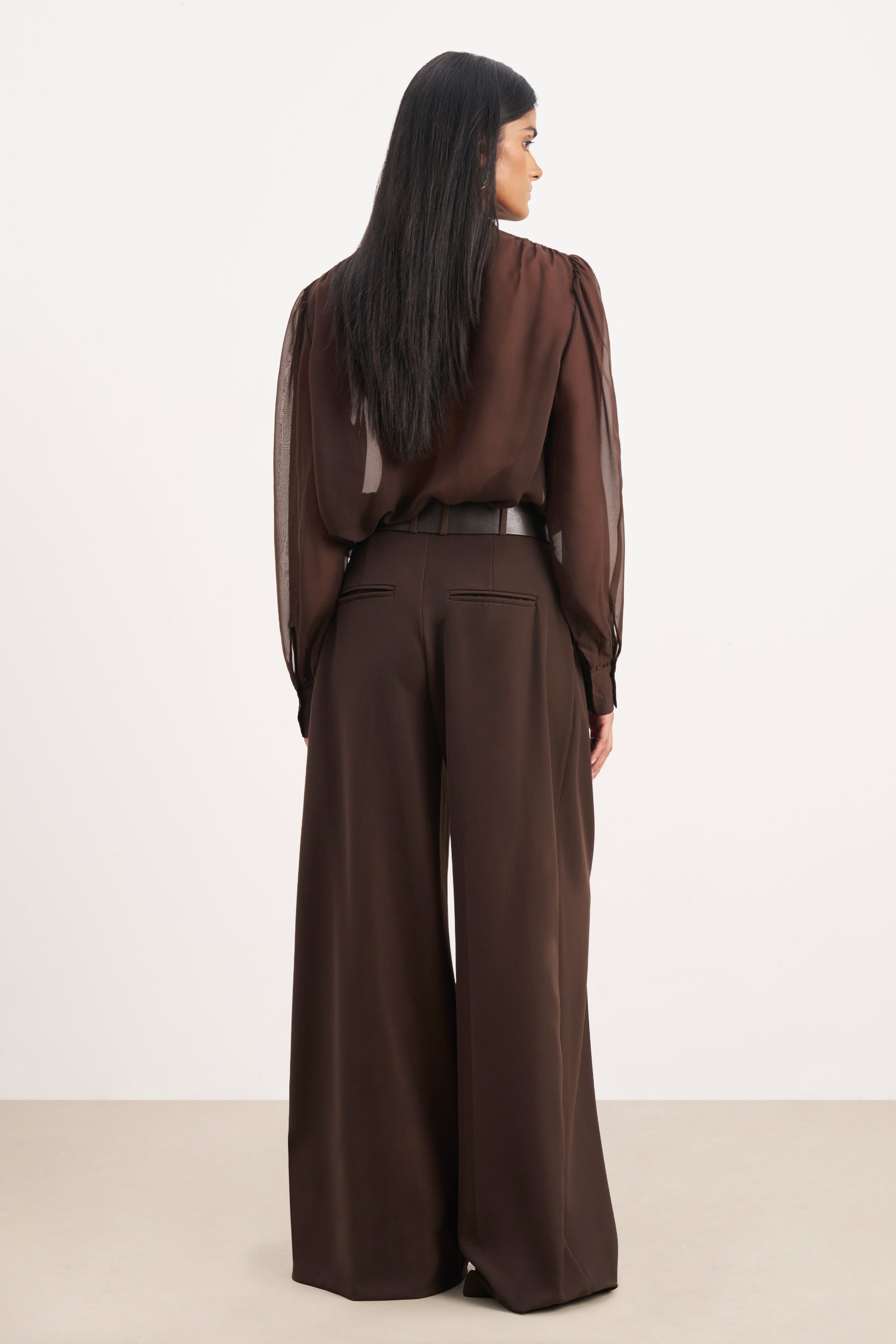 Sheer Chiffon Tie Neck Blouse - Carob