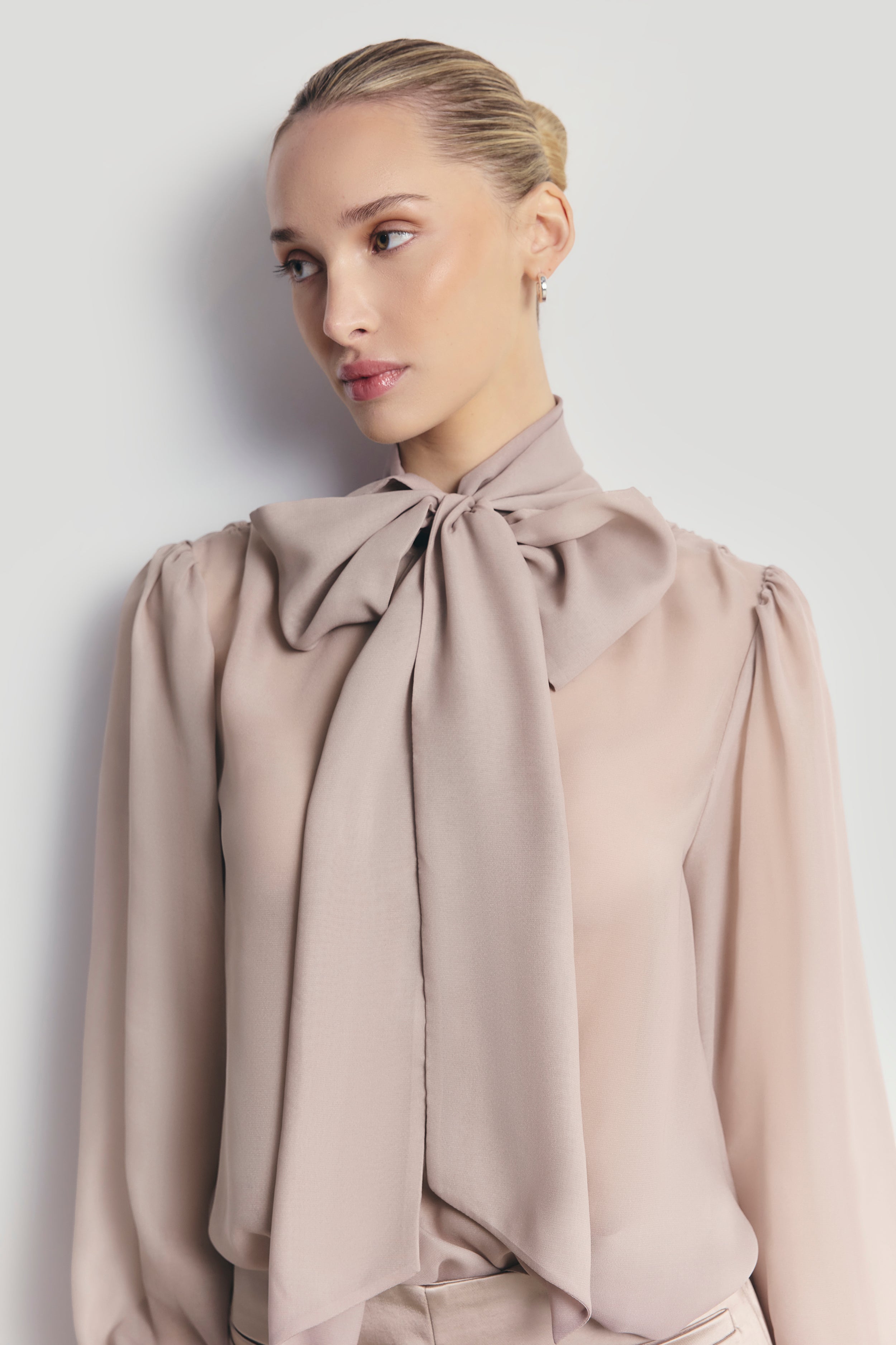 Sheer Chiffon Tie Neck Blouse - Mink