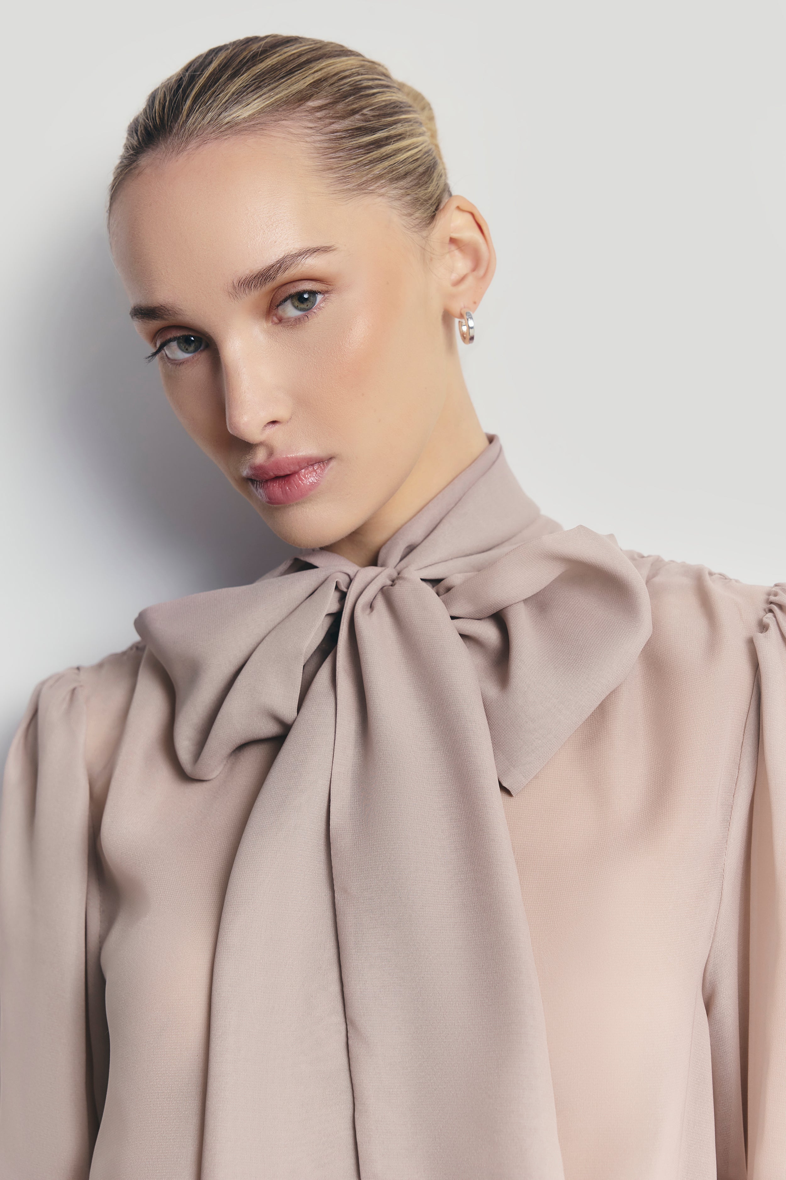 Sheer Chiffon Tie Neck Blouse - Mink | BOA US